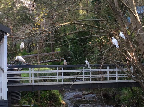 Aldgate Valley Bed And Breakfast - Accommodation Sunshine Coast 41