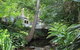 Aldgate Valley Bed And Breakfast - thumb 2