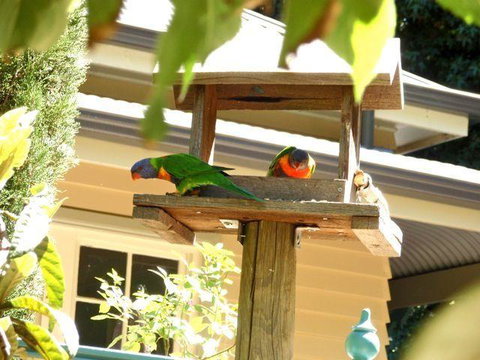 Aldgate Valley Bed And Breakfast - Accommodation Sunshine Coast 42