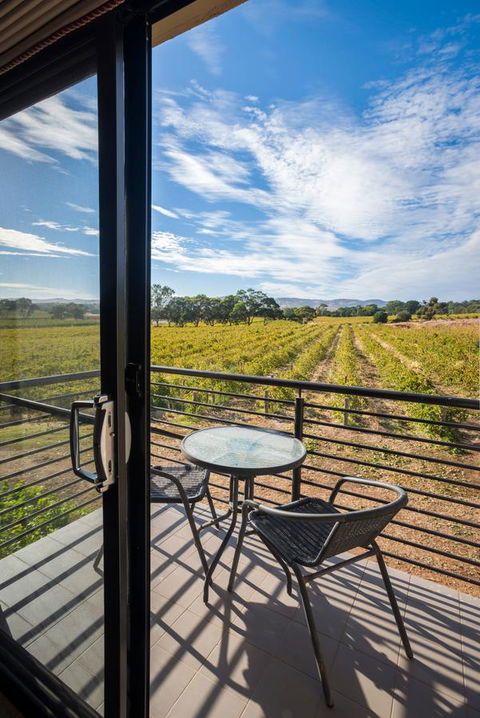 Barossa Shiraz Estate - Accommodation Sunshine Coast 33