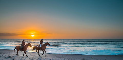 Lady Bay Hotel - Accommodation Sunshine Coast 28