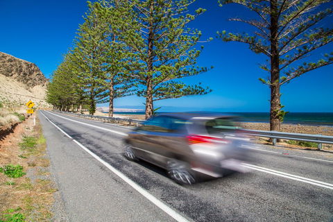 Lady Bay Hotel - Accommodation Sunshine Coast 26
