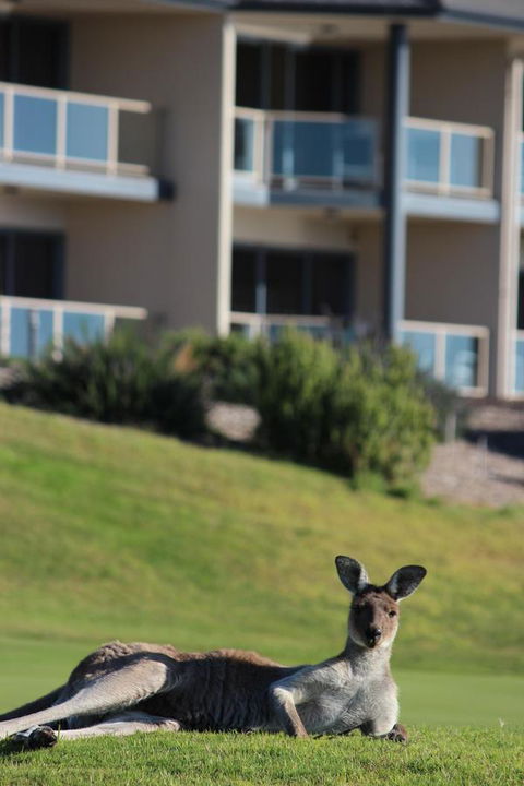 Lady Bay Hotel - Accommodation Sunshine Coast 16