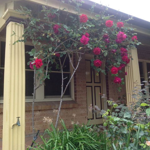 Oats Cottage - Accommodation Sunshine Coast 3