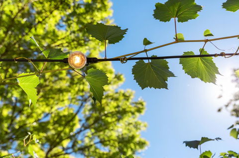 Adelaide Hills Retreats - Accommodation Sunshine Coast 32