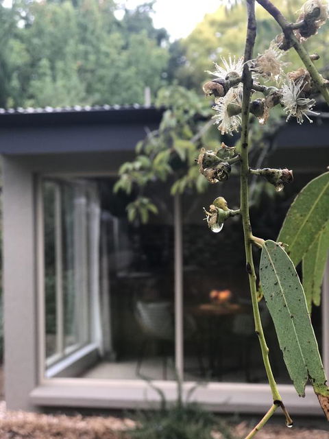 Adelaide Hills Retreats - Accommodation Sunshine Coast 9