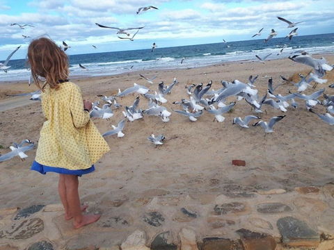 Moana Beach Tourist Park - Accommodation Sunshine Coast 9