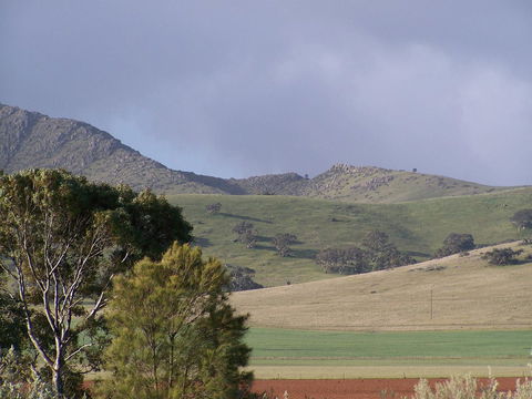 Burra Motor Inn - Accommodation Sunshine Coast 32