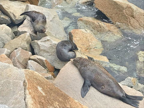 Penthouse On The Promenade - Accommodation Sunshine Coast 17