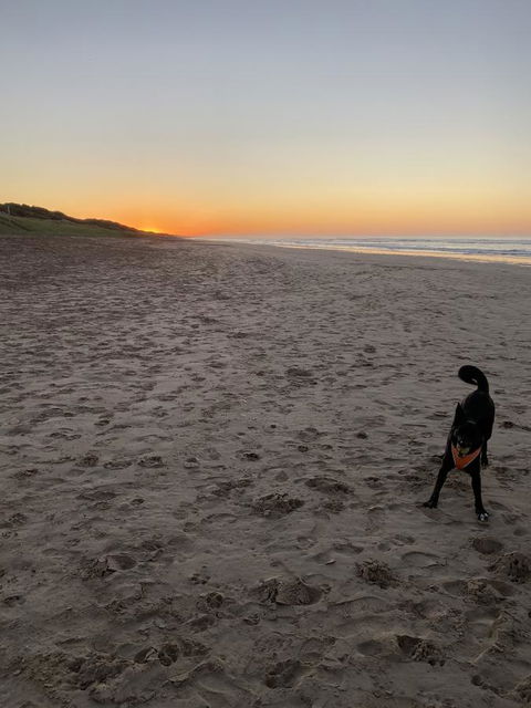 Goolwa Marinerâ€™s Cottage - Free Wifi And Pet Friendly - Centrally Located In Historic Region - Accommodation Sunshine Coast 27