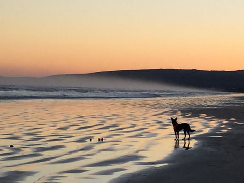 Goolwa Marinerâ€™s Cottage - Free Wifi And Pet Friendly - Centrally Located In Historic Region - Accommodation Sunshine Coast 35