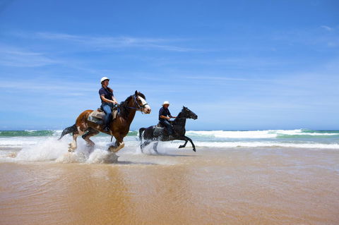 One Mile Retreat - Accommodation Sunshine Coast 26