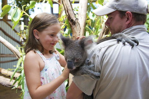 One Mile Retreat - Accommodation Sunshine Coast 16