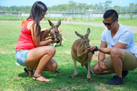 One Mile Retreat - Accommodation Sunshine Coast 25