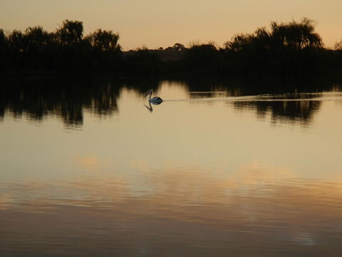 Washpool Retreat - Accommodation Sunshine Coast 25