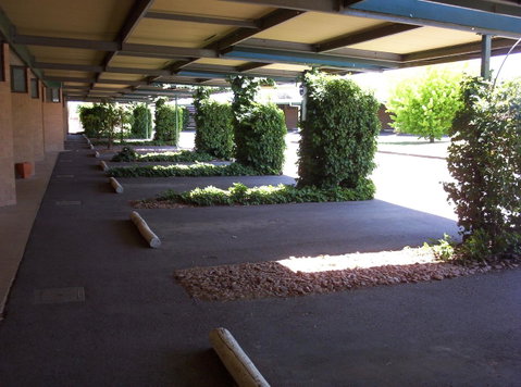 The Wine Vine Hotel - Accommodation Sunshine Coast 17