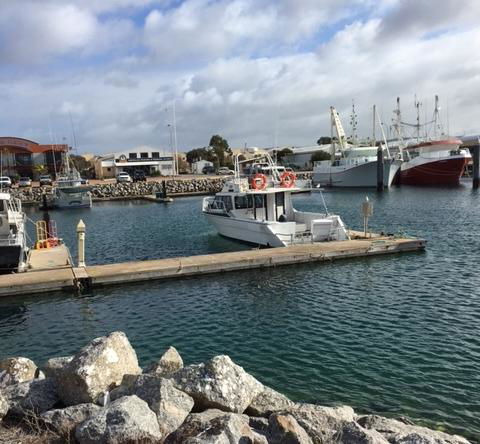 Port Lincoln Shark Apartment 3 - Accommodation Sunshine Coast 1
