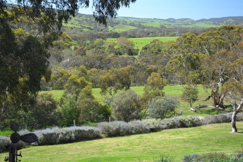 Cabernet Cottage - Accommodation Sunshine Coast 10
