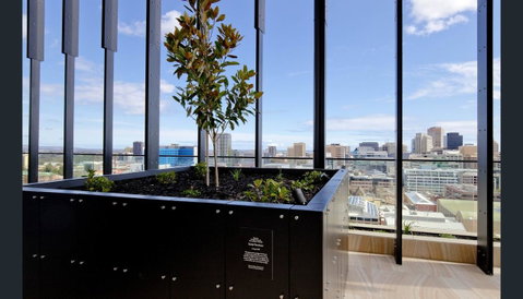 ONE Adelaide CBD - Accommodation Sunshine Coast 33