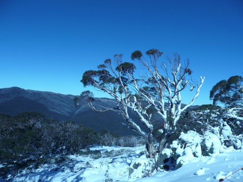 CHILL-OUT - Thredbo - Accommodation Sunshine Coast 33