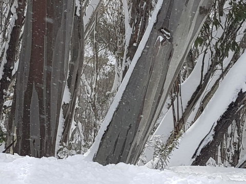 CHILL-OUT - Thredbo - Accommodation Sunshine Coast 30