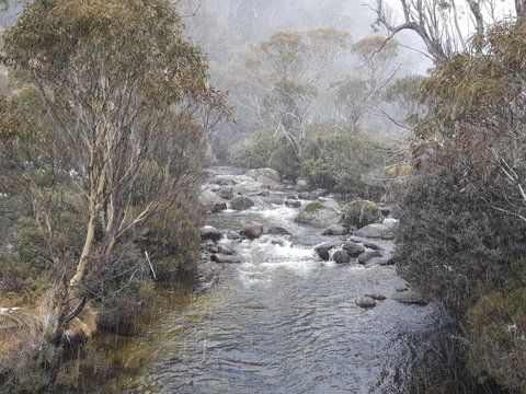CHILL-OUT - Thredbo - Accommodation Sunshine Coast 23