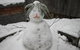 CHILL-OUT - Thredbo - thumb 34