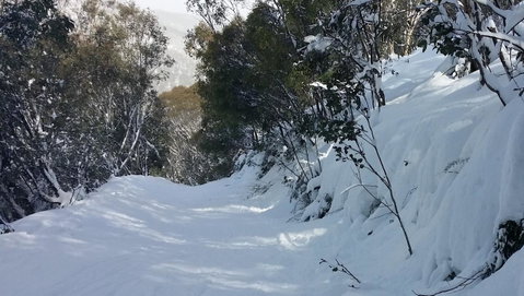CHILL-OUT - Thredbo - Accommodation Sunshine Coast 17