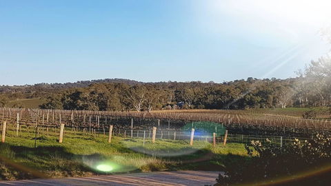 D2 At Watervale - Accommodation Sunshine Coast 23