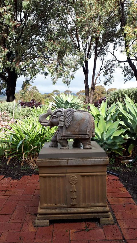 Linger Longer Vineyard - Accommodation Sunshine Coast 18