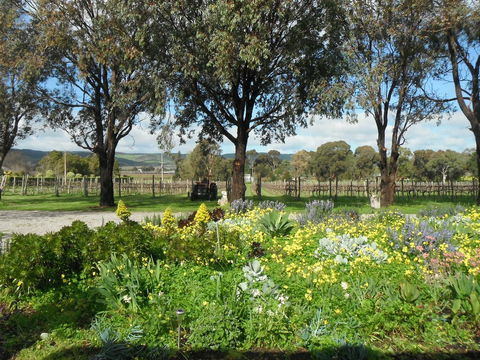 Linger Longer Vineyard - Accommodation Sunshine Coast 17