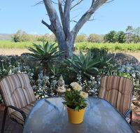 Linger Longer Vineyard - Accommodation Sunshine Coast