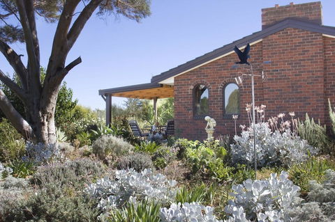 Linger Longer Vineyard - Accommodation Sunshine Coast 13
