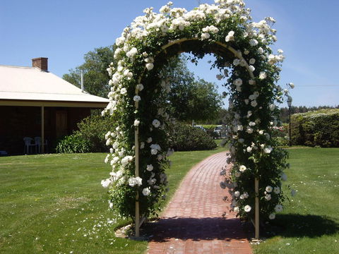 Coonawarra Place Motor Inn - Accommodation Sunshine Coast 6