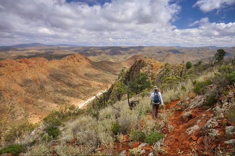 Arkaroola Wilderness Sanctuary - Accommodation Sunshine Coast 4