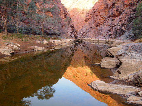 Arkaroola Wilderness Sanctuary - Accommodation Sunshine Coast 6