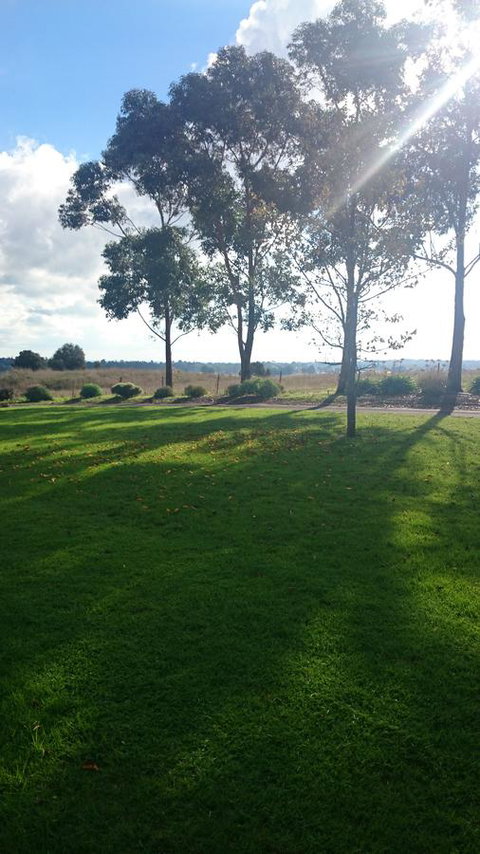 Hilltop Escape - Accommodation Sunshine Coast 19