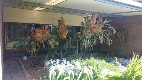 Hilltop Escape - Accommodation Sunshine Coast 11