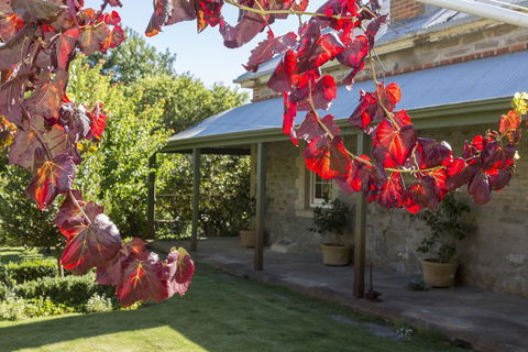 Grand Cru Estate Homestead - Accommodation Sunshine Coast 1