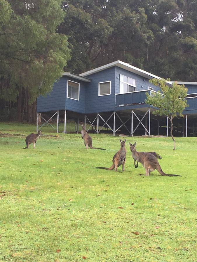  Accommodation Sunshine Coast