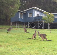 Blue House Denmark - Accommodation Sunshine Coast