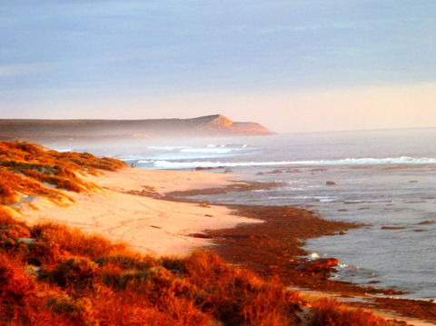 Kanga Cottage - Accommodation Sunshine Coast 26