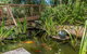 Chimes Spa Retreat - thumb 27