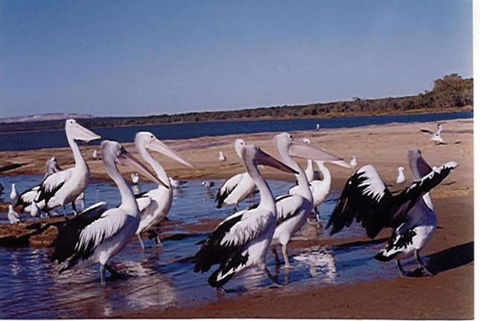 Unit 42 Kalbarri Beach Resort - Accommodation Sunshine Coast 17