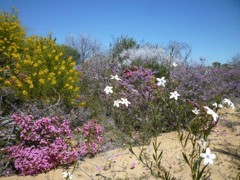 Unit 42 Kalbarri Beach Resort - Accommodation Sunshine Coast 26