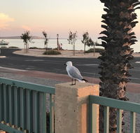Shark Bay Seafront Apartments - Accommodation Sunshine Coast