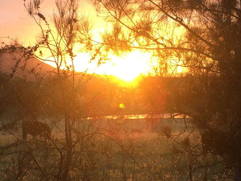 Grapevines Boutique Accommodation - Accommodation Sunshine Coast 27