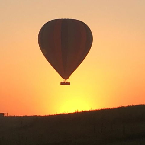 Grapevines Boutique Accommodation - Accommodation Sunshine Coast 13