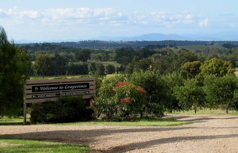 Grapevines Boutique Accommodation - Accommodation Sunshine Coast 15