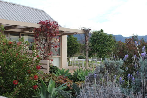 Grapevines Boutique Accommodation - Accommodation Sunshine Coast 28
